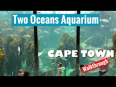 Download MP3 Two Oceans Aquarium Cape Town Walkthrough