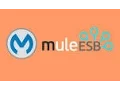 Batch Processing in Mulesoft