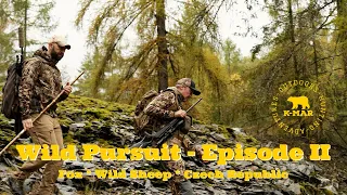 Download Wild Pursuit - Episode 2: Fox and Wild Sheep Hunting in Czech Republic MP3