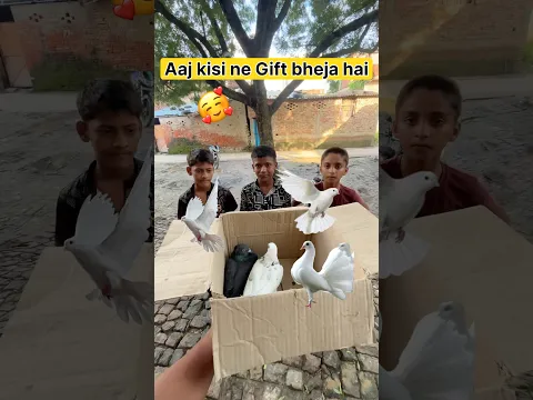 Aaj kisi Fan ne Gift bheja hai 🕊️🤩 #shorts #viral #vlog