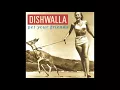 Dishwalla – Counting Blue Cars