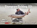 Sturgeon Fishing 101 - How to sturgeon fish the North Saskatchewan River