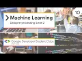 ML Online workshop Data pre-processing Level 2