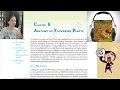 Class11 Ch6 Anatomy of Flowering Plants NCERT Biology Reading Only BiologyClass11AudioBooks NCERT