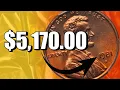 Don t Spend Your 1981-D Pennies Look for the Rare MS67 Superb Gem