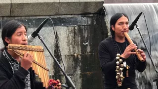 hector loza music from ecuador