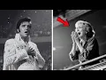 Download Lagu Elvis arrêta le concert après un cri du balcon — la suite laissa 15 000 fans sans voix
