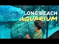 What s Inside the Aquarium of the Pacific in Long Beach Is it Good For Kids