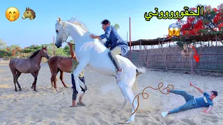 لما تروح تتعلم ركوب الخيل انت وابوك واخوك الصغير علاء حسين 