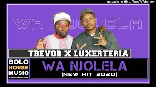 trevor x luxerteria wa njolela new hit 2020 