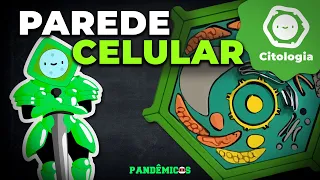 Parede Celular
