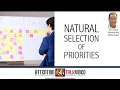 AD and Prioritization Insights How to Planning and Prioritizing with AD