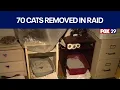 Woman speaks out after 70 cats removed from unlicensed shelter in Bensalem