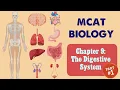 MCAT Biology Chapter 9 - The Digestive System
