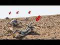 Download Lagu NASA Mars Perseverance Rover Unveils Breathtaking Video of Mars Sol 1782 || Mars New Rover Video