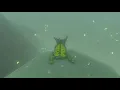 Korok seeds Hebra West Summit Hebra Tower -