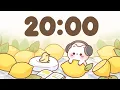 20 Minute Timer Study Timer for Classroom Focus