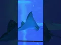 Download Lagu https://youtu.be/B65Gi1d4vHc?si=1d0c4CzRRgXzM1FN