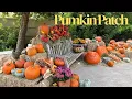 Beautiful Pumpkin Patch in San Antonio Botanical Garden