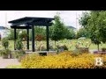 Burial Services Baue
