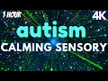 Download Lagu Autism Calming Sensory Meltdown Remedy Soothing Visuals