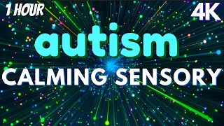 Autism Calming Sensory Meltdown Remedy Soothing Visuals 
