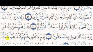 تحفيظ سورة الطور 37 49 هـ 