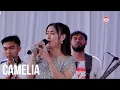 Lagu Camelia - selvi anjelina - n25