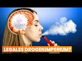 Download Lagu So macht Elfbar Deine Schwester süchtig und dabei Milliarden | highperformer.henning