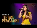 Lagu 🎵 Tentang Perasaanku – Irwansyah | Cover by AIRI