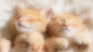 Sweet Dreams - "From My Heart To Yours" by Liquid Mind