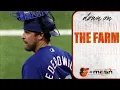 Tides skipper Tim Federowicz on notable players closest to the big leagues