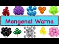 Download Lagu Mengenal Warna untuk Anak | Macam macam warna | mengenal warna bahasa indonesia