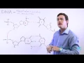 The 4 Nucleotide Bases Guanine Cytosine Adenine and Thymine What Are Purines and Pyrimidines