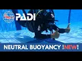 Download Lagu HOW TO perform neutral buoyancy UPDATED | PADI SCUBA SKILLS