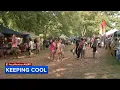 Philadelphia residents beat the heat at Southeast Asian market in FDR Park