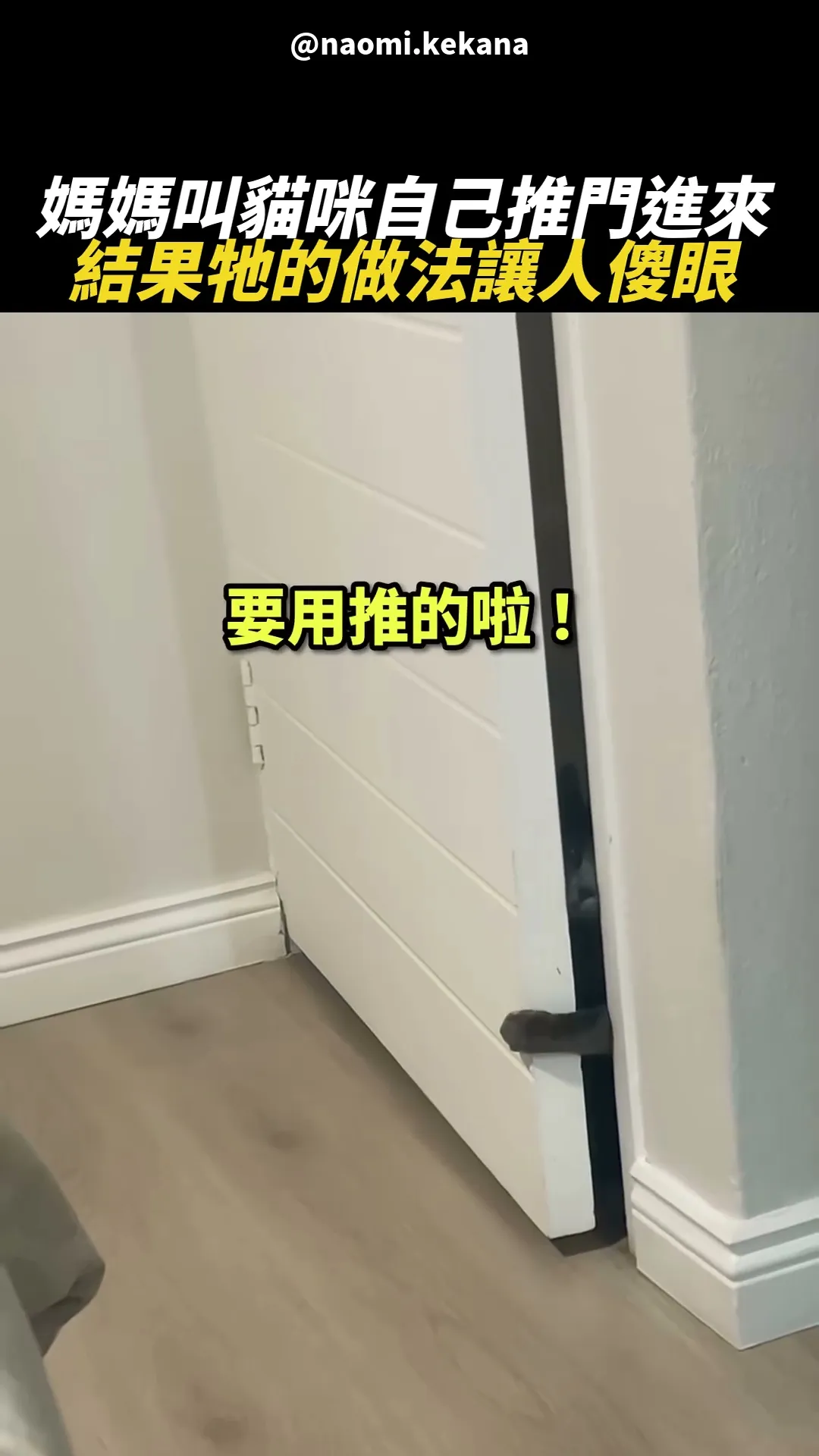 推門?我只會拉 😼🚪