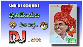 pulibendhula puli bida ysr dj song remix by snr dj sounds and lighting p v palem 6300322329