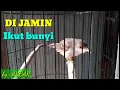 Download Lagu PANCINGAN anakan CIBLEK belajar BUNYI