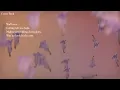 Sharon Van Etten - Come Back (Lyric Video)