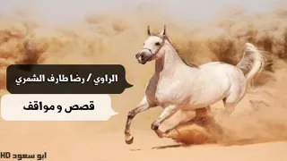 الراوي رضا طارف الشمري ثلاث ساعات من القصص والمواقف 