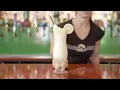 Carlos Pepe s youtube ad v1