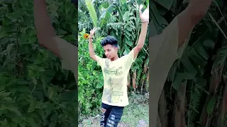                     دندنها