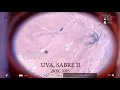UVA Rocketry - Sabre II Launch at IREC 2025