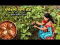 Lagu Spicy Brinjal Curry | भरलेली वांगी | Stuffed Baingan Masala | Village Cooking | Red Soil Stories
