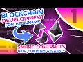 Blockchain For Beginners - Smart Contracts With Ethereum Solidity