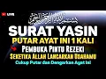 PUTAR 1X AYAT INI❗DZIKIR PEMBUKA PINTU REZEKI, KABULKAN SEGALA HAJAT, DZIKIR MUSTAJAB, SURAT YASIN