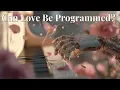 Lagu Can a Machine Fall in Love?
