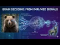 Decoding the Brain using AI Brain decoding toward real-time reconstruction of visual perception