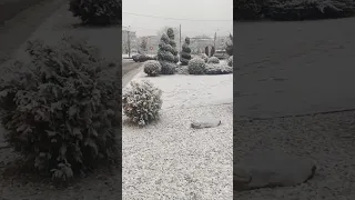 از خوبی هوا هرچی بگم کمه تحصیل در رومانی 